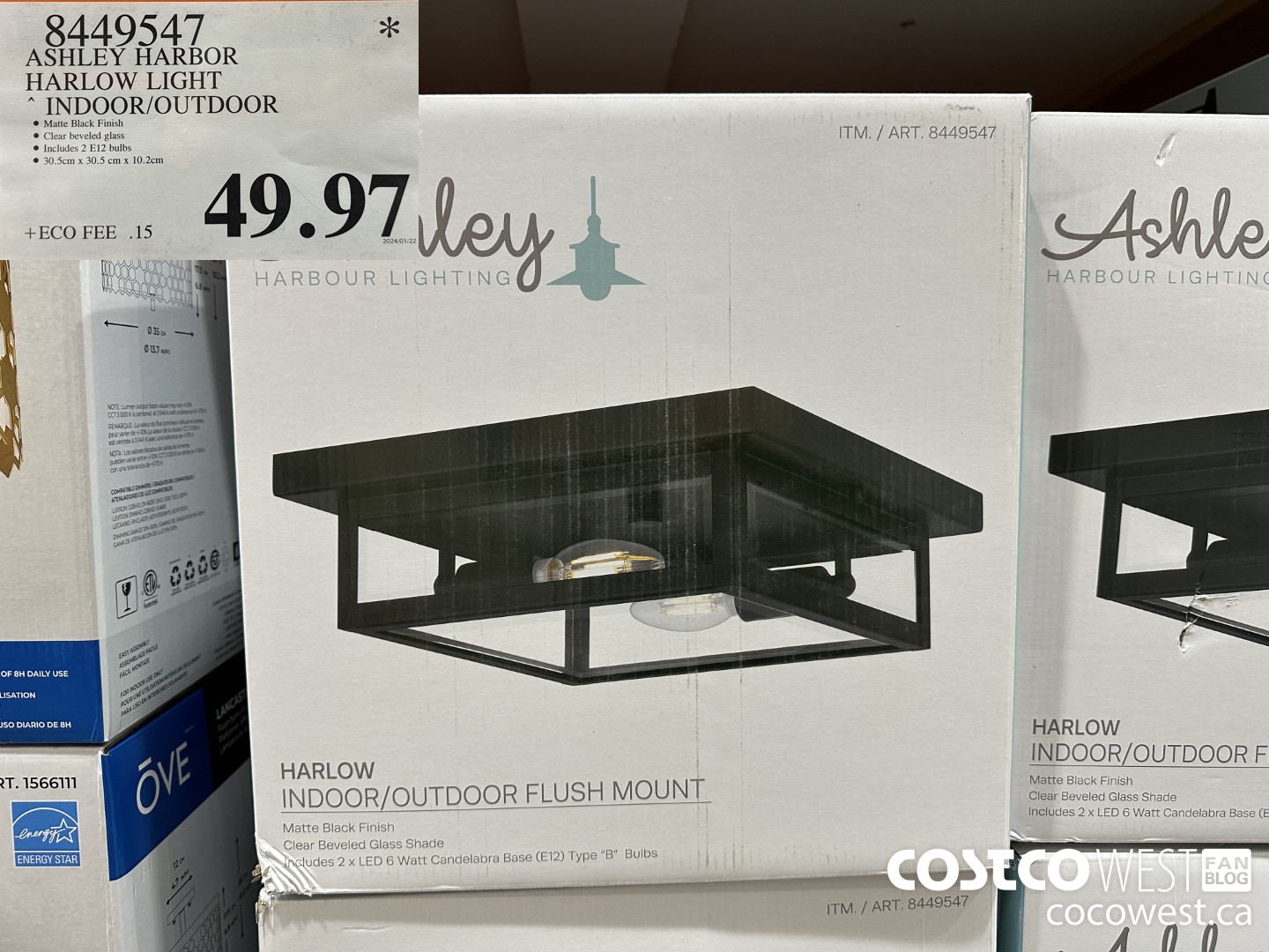 8449547 ASHLEY HARBOR HARLOW INDOOR/OUTDOOR $49.97