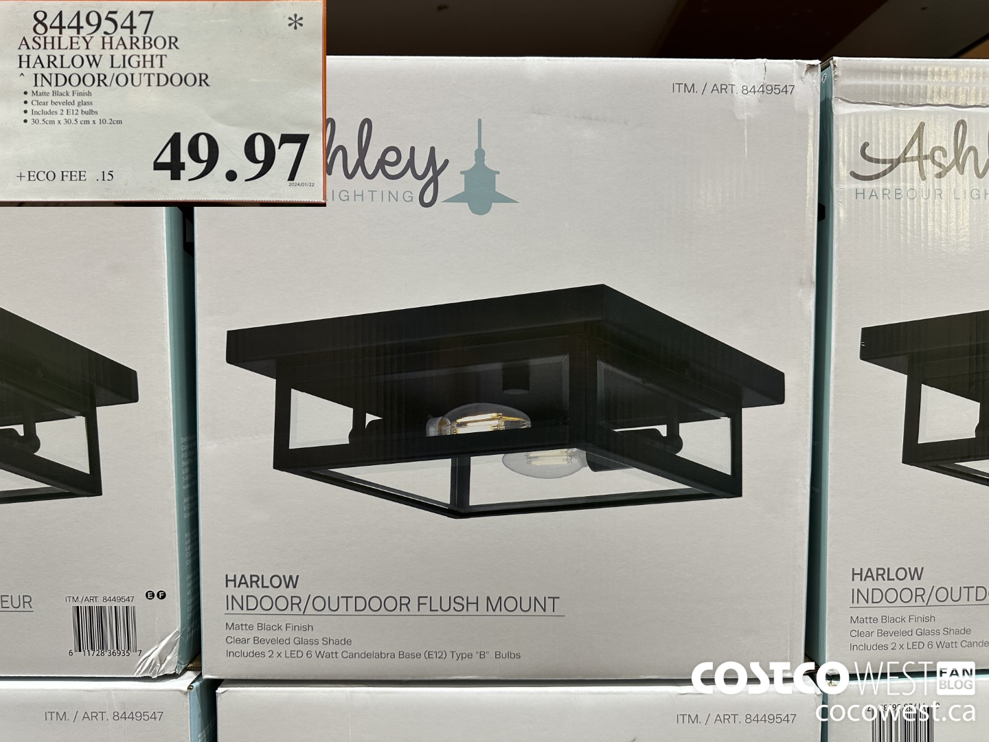 8449547 ASHLEY HARBOR HARLOW INDOOR/OUTDOOR $49.97