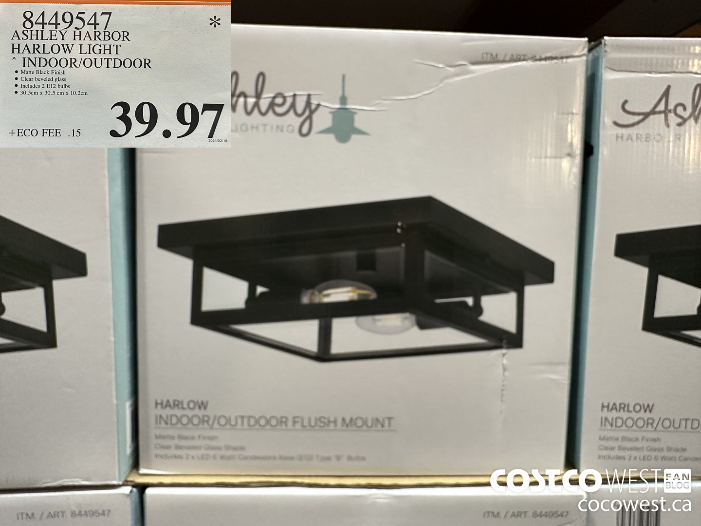 8449547 ASHLEY HARBOR HARLOW INDOOR/OUTDOOR $39.97