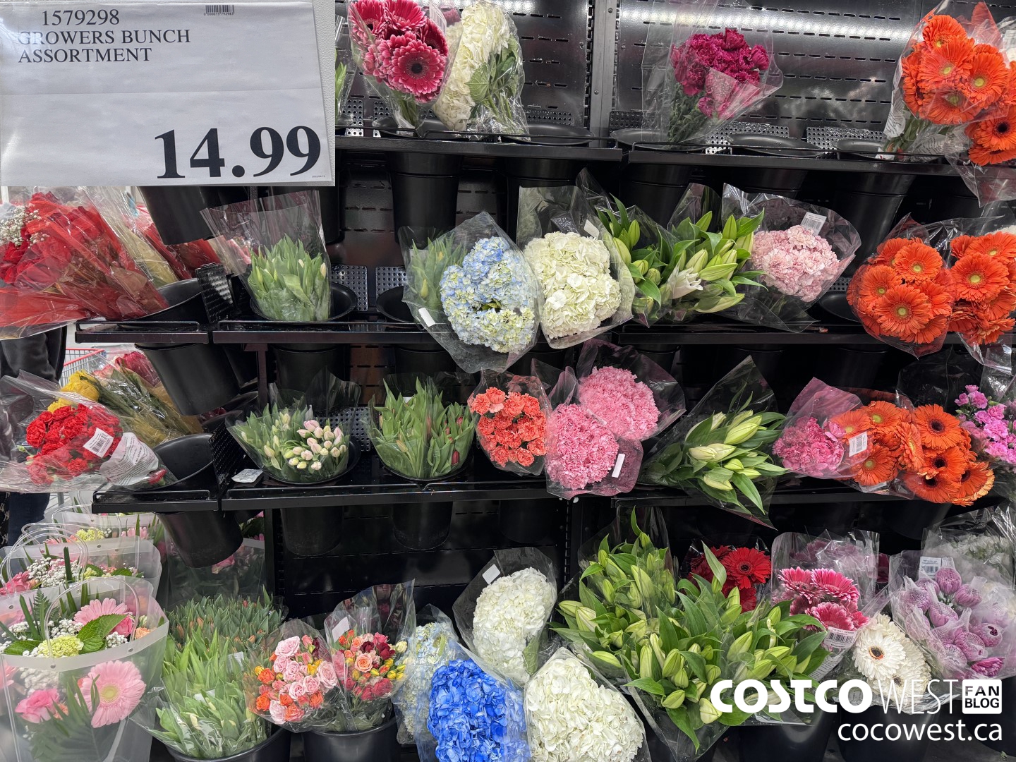 1579298 GROWERS BUNCH ASSORTMENT $14.99