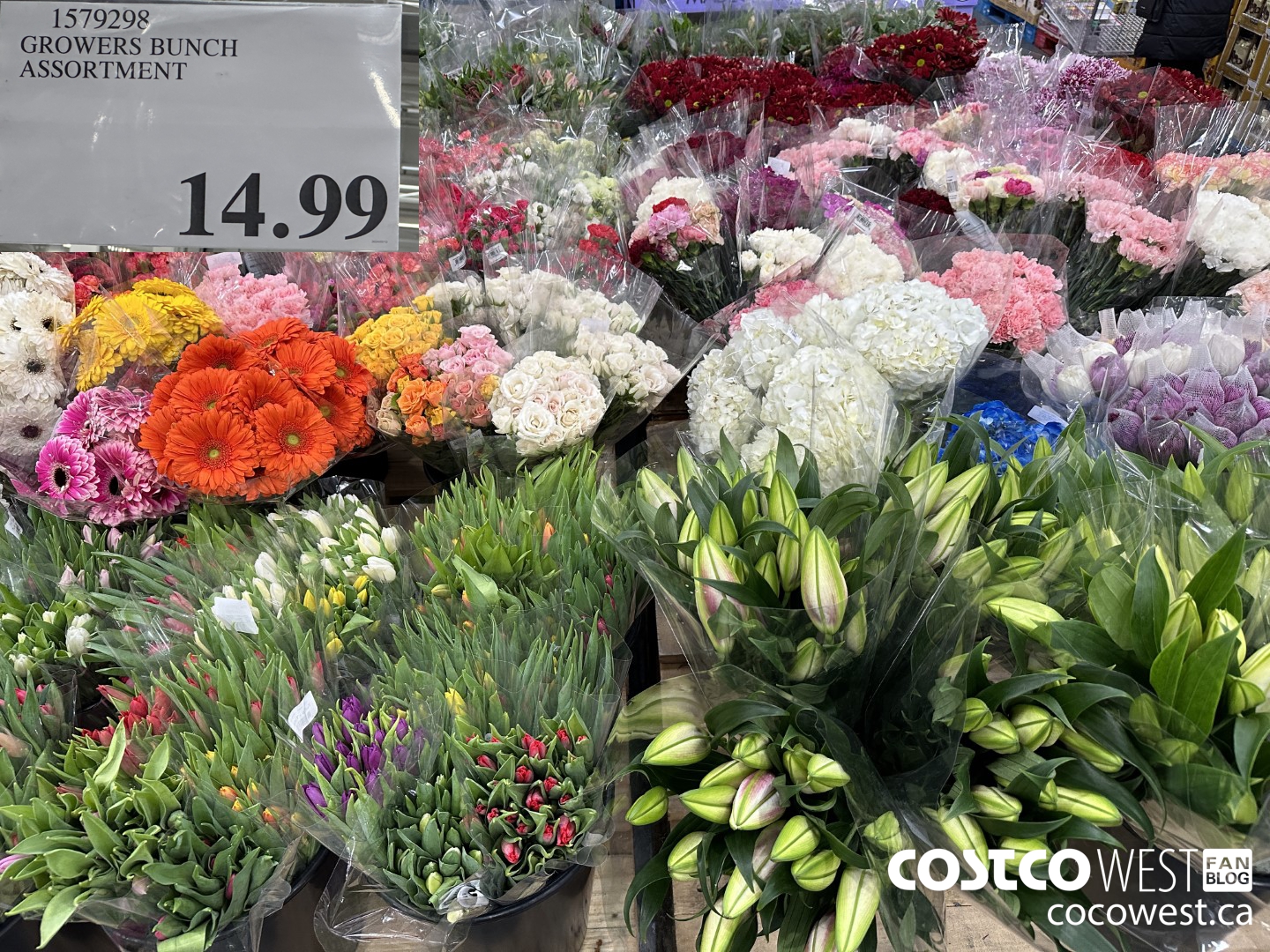 1579298 GROWERS BUNCH ASSORTMENT $14.99