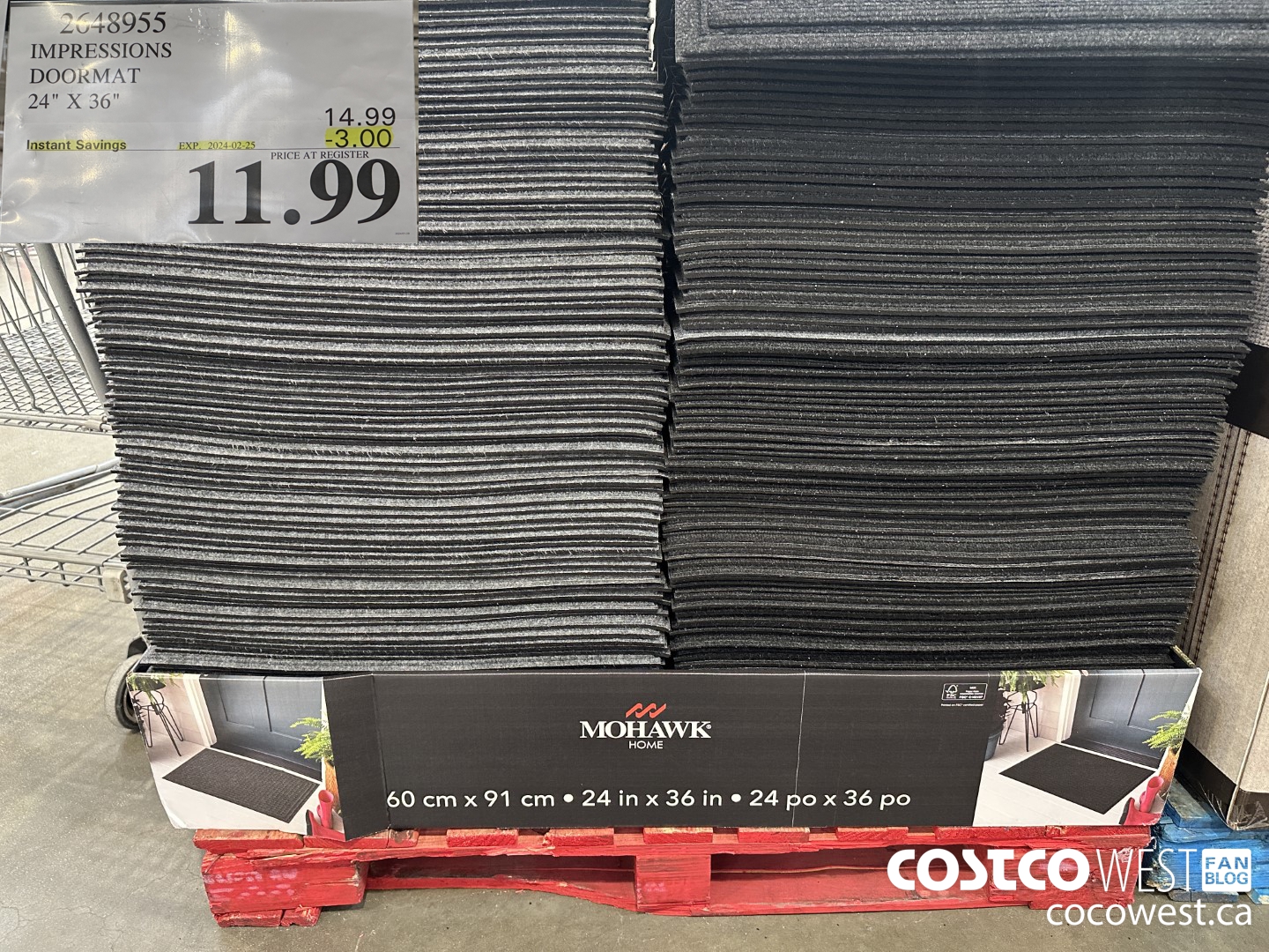 2648955 IMPRESSIONS DOORMAT 24