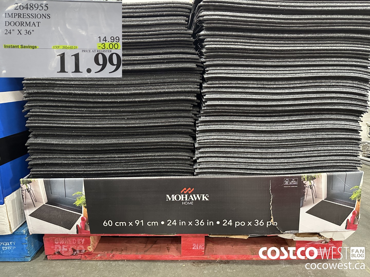 2648955 IMPRESSIONS DOORMAT 24