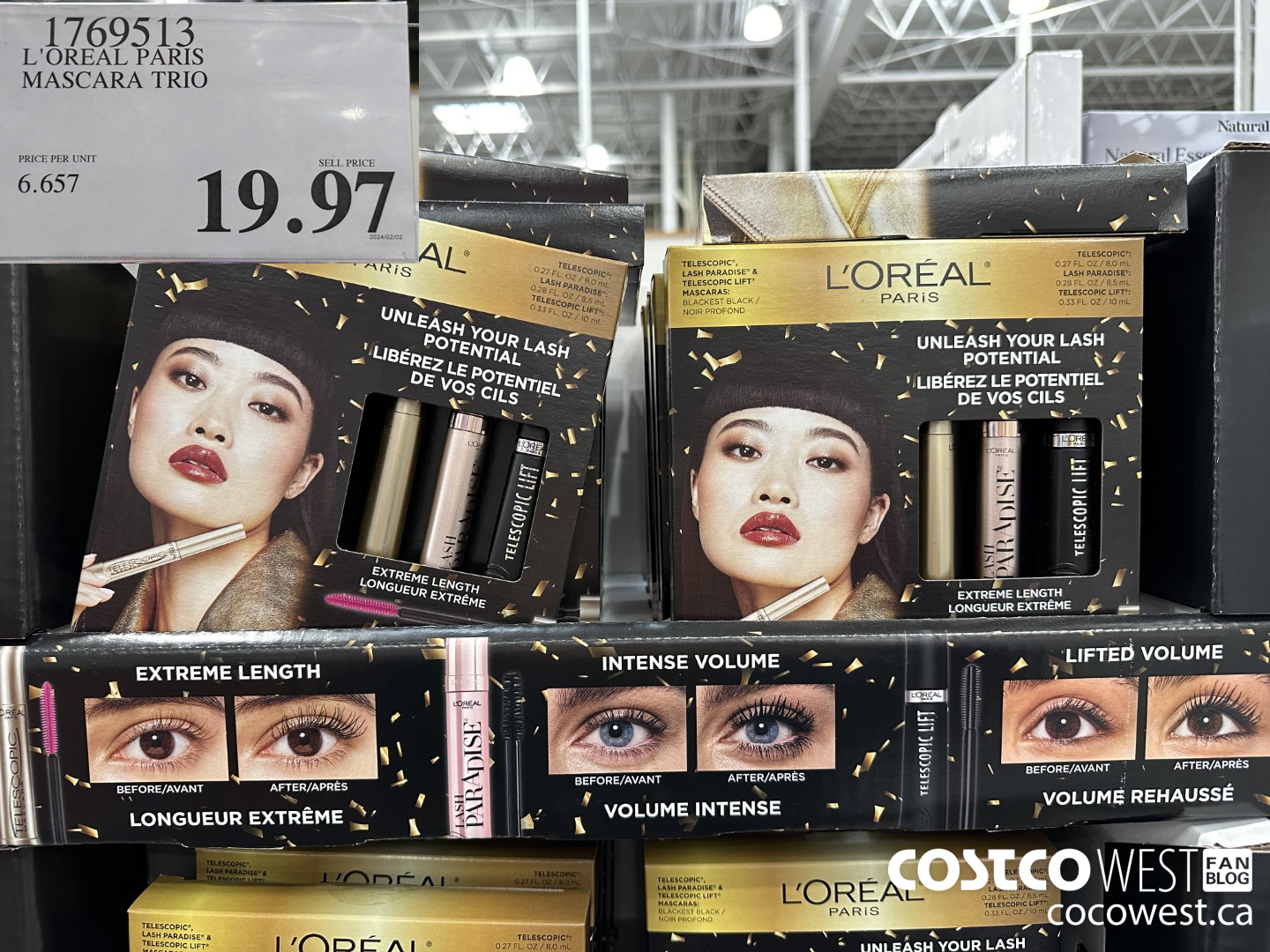 1769513 L'OREAL PARIS MASCARA TRIO $19.97