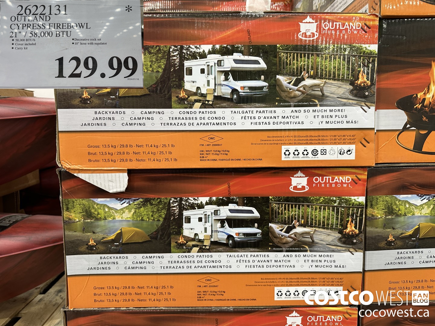 2622131 OUTLAND CYPRESS FIREBOWL 21