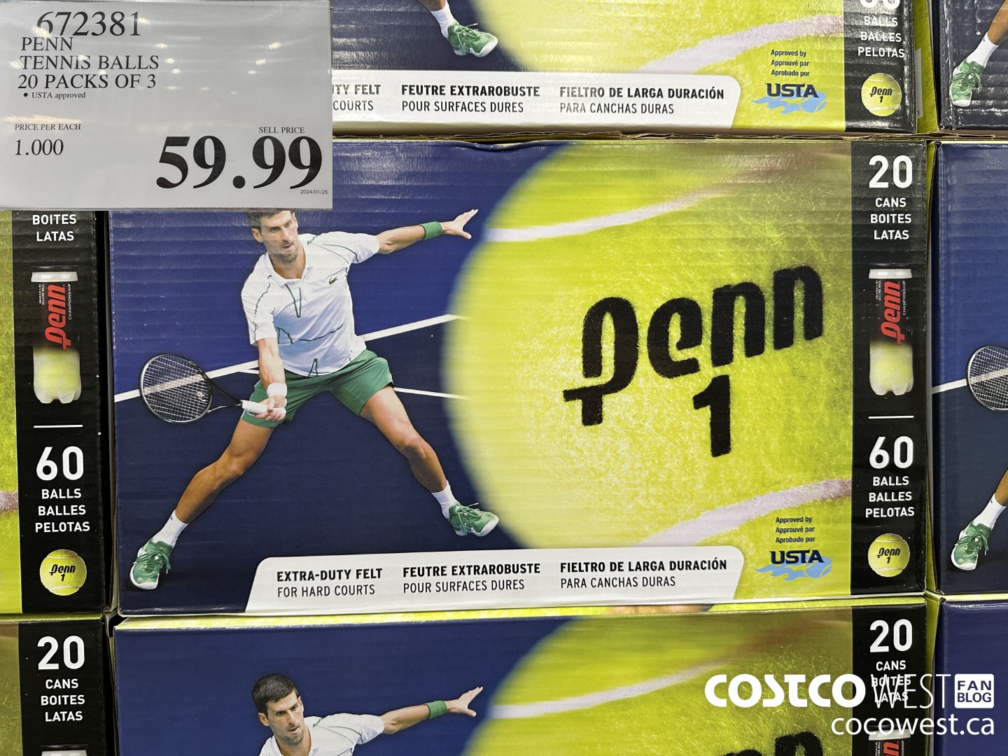 672381 PENN TENNIS BALLS 20 PACKS OF 3 $59.99