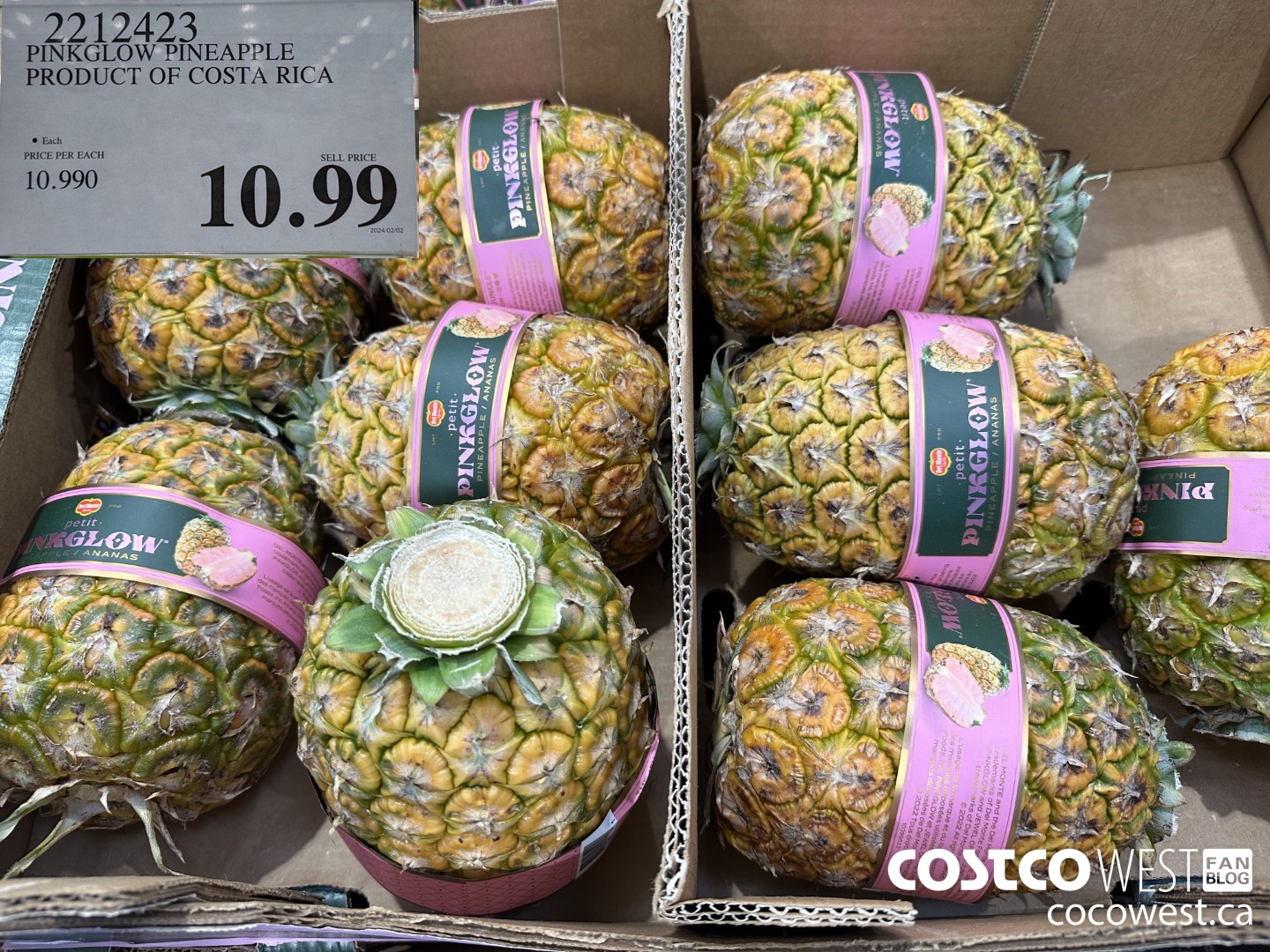 2212423 PINKGLOW PINEAPPLE PRODUCT OF COSTA RICA  $10.99
