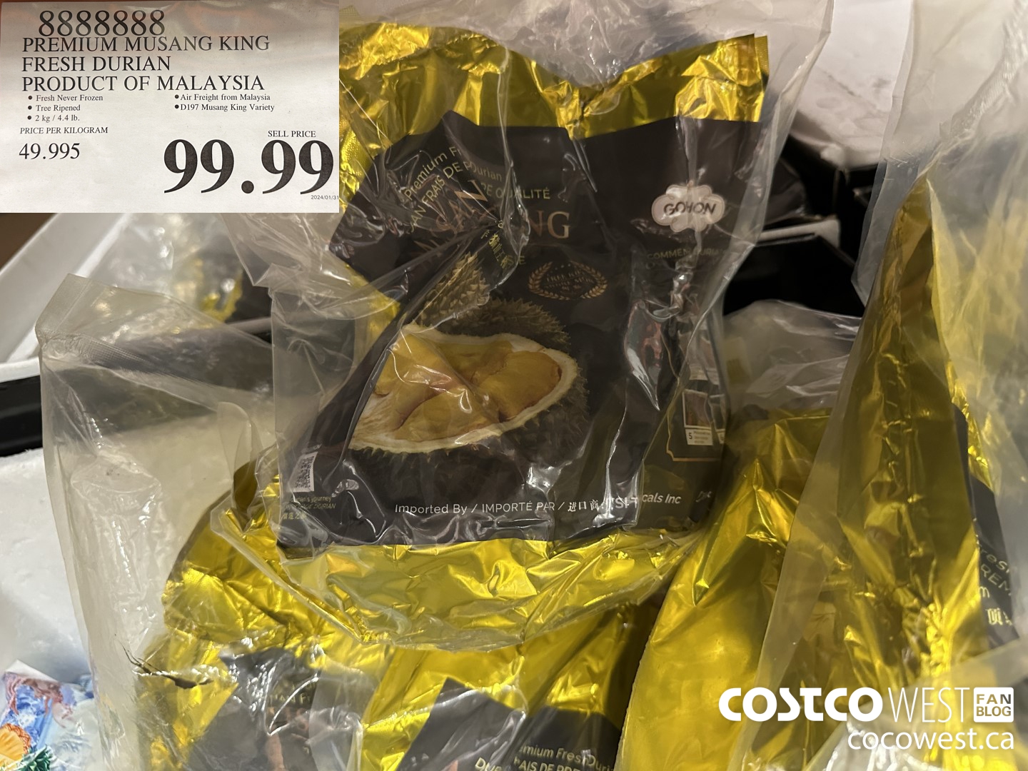 8888888 PREMIUM MUSANG KING FRESH DURIAN PRODUCT OF MALAYSIA $99.99