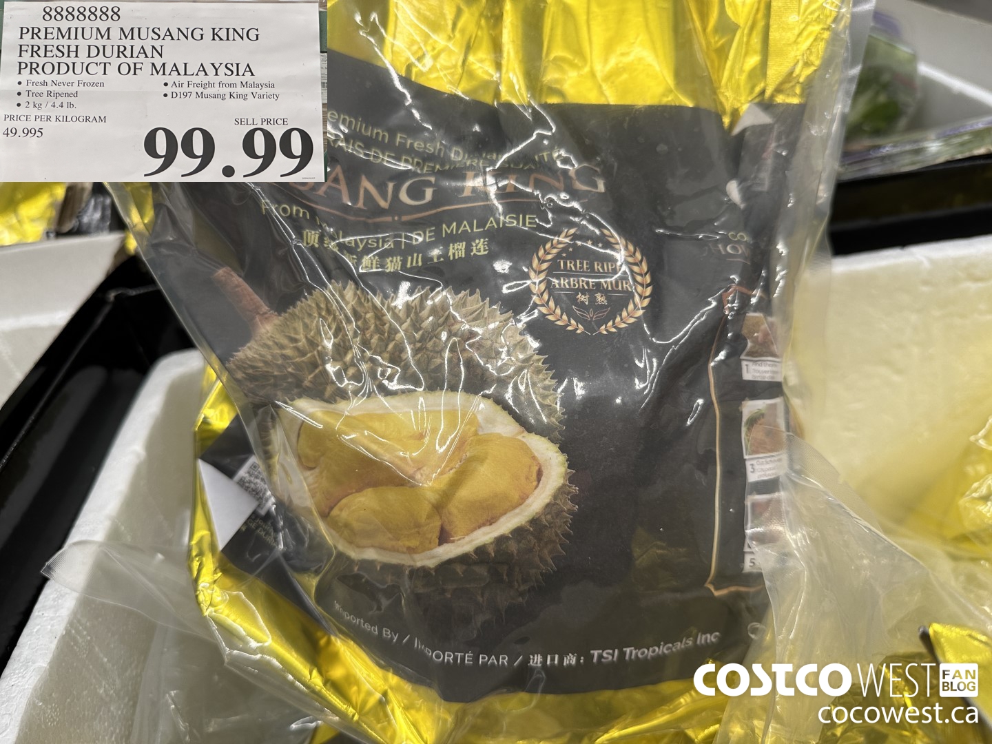 8888888 PREMIUM MUSANG KING FRESH DURIAN PRODUCT OF MALAYSIA $99.99