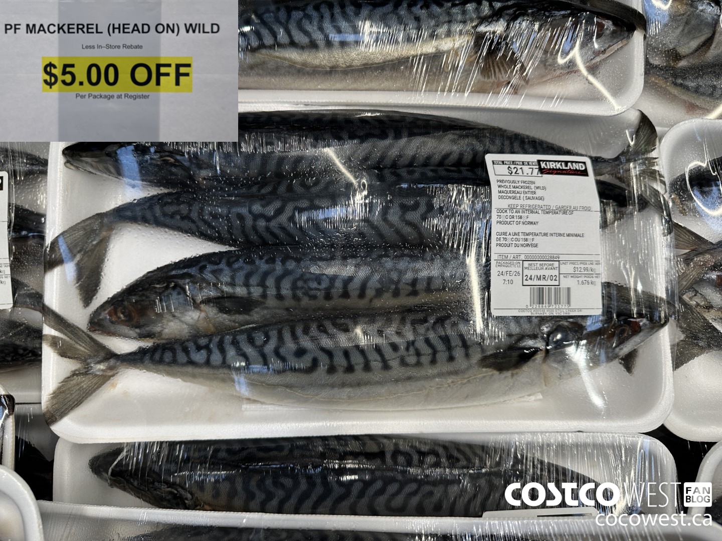 28849 PREVIOUSLY MACKEREL (HEAD ON) WILD ($5.00 INSTANT SAVINGS)