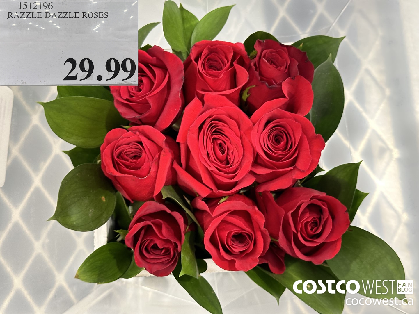 1512196 RAZZLE DAZZLE ROSES  $29.99