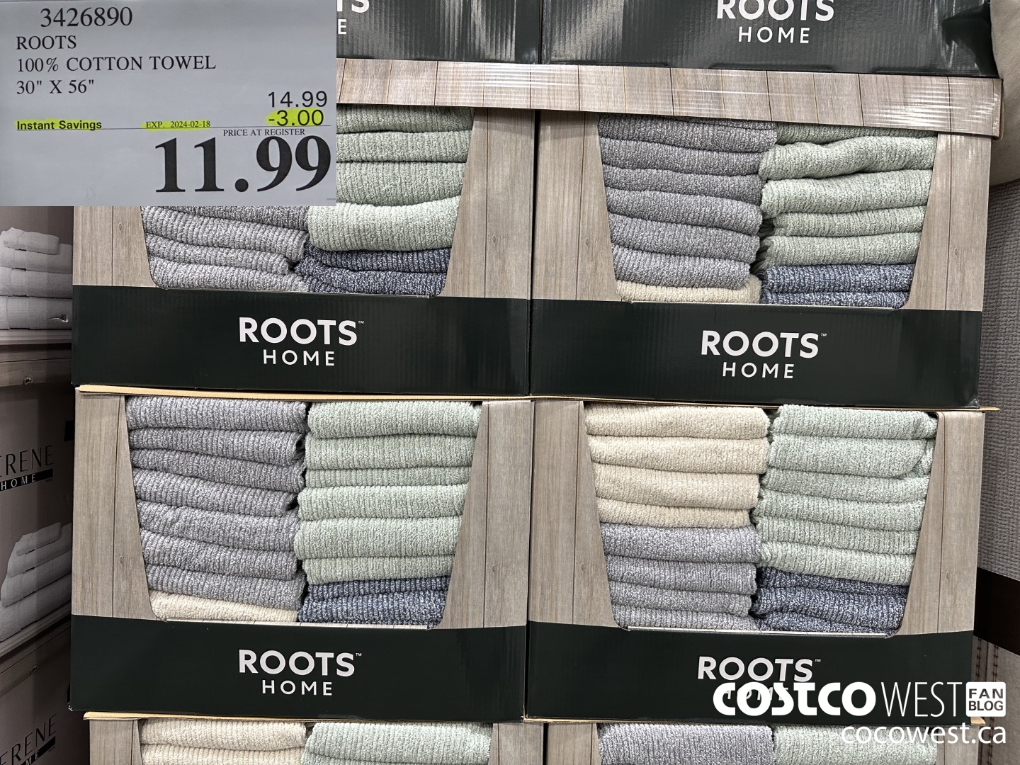 3426890 ROOTS 100% COTTON TOWEL 30