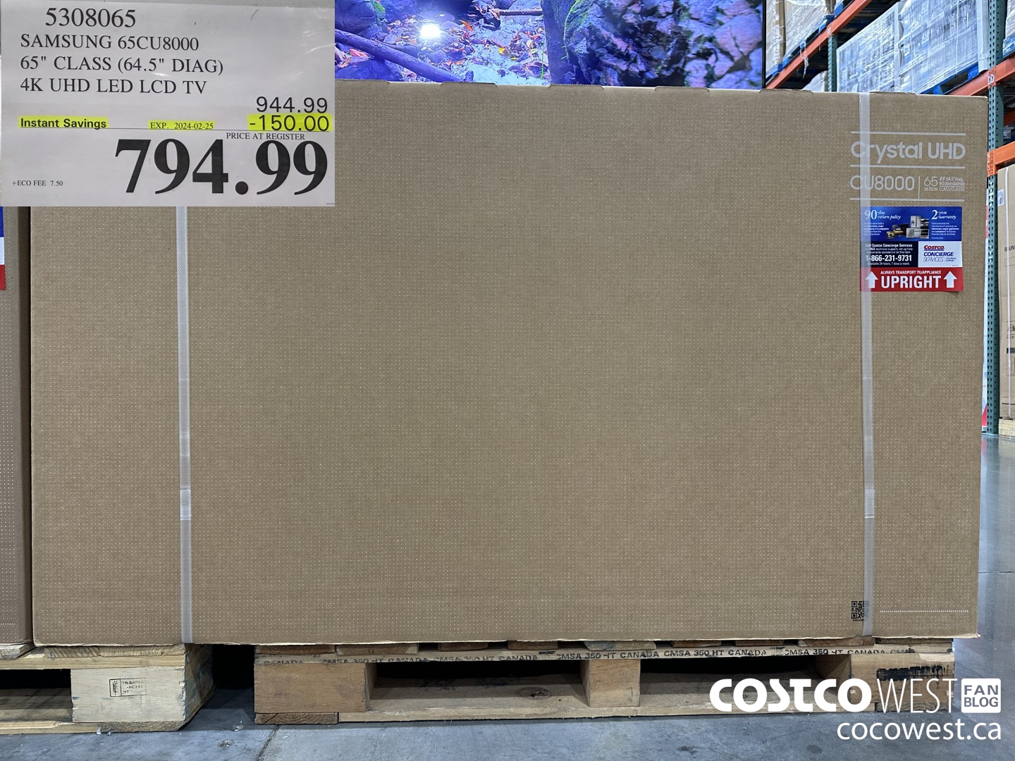 5308065 SAMSUNG 65CU800 65