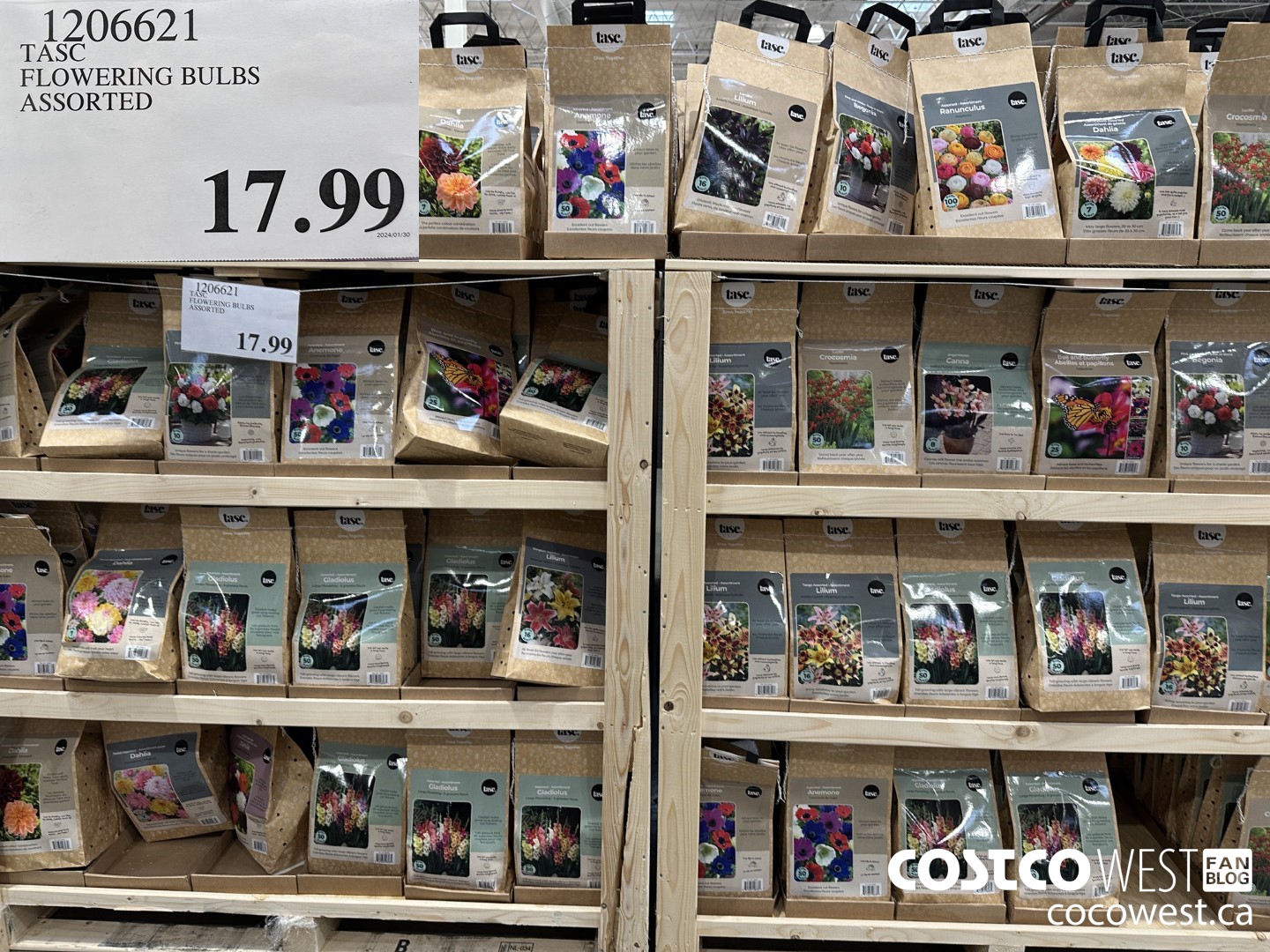 1206621 TASC FLOWERING BULBS ASSORTED $17.99