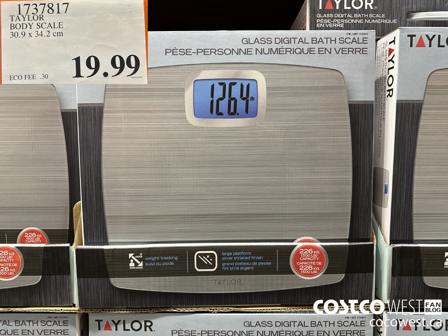 1737817 TAYLOR BODY SCALE 30.9 X 34.2 CM $19.99