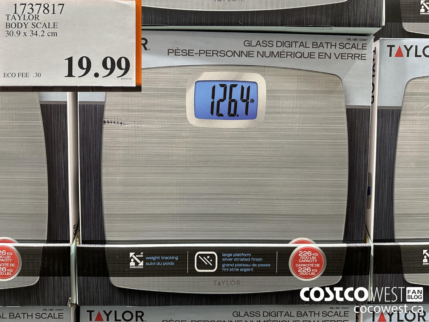1737817 TAYLOR BODY SCALE 30.9 X 34.2 CM $19.99