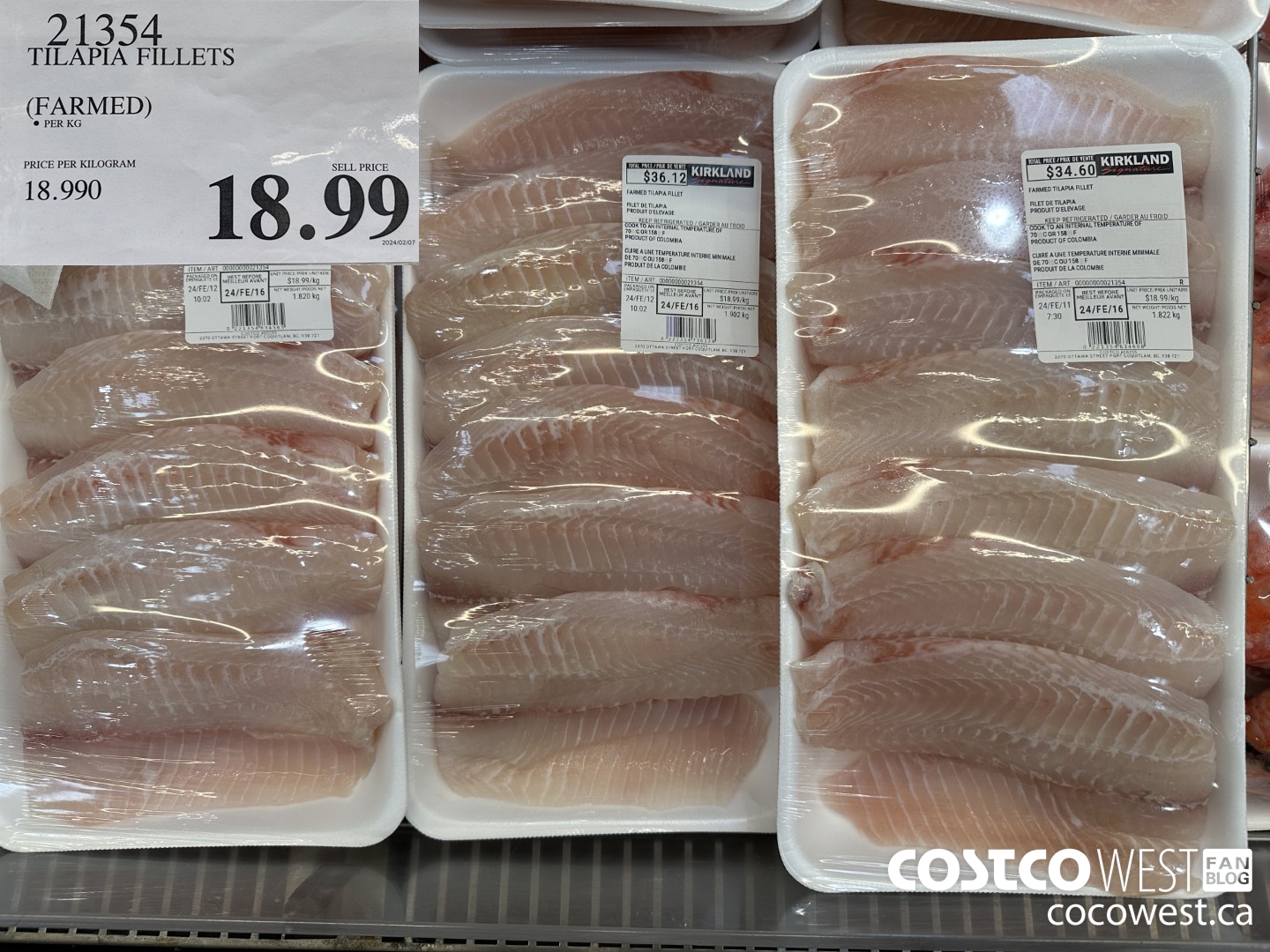 21354 TILAPIA FILLETS (FARMED) $18.99