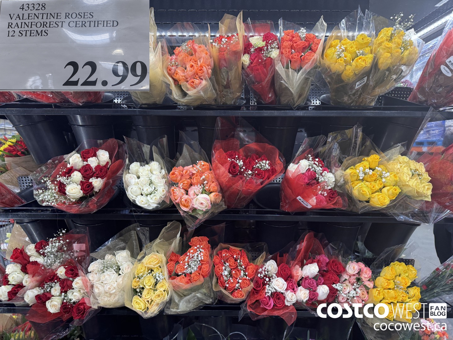 43328 VALENTINE ROSES RAINFOREST CERTIFIED 12 STEMS $22.99