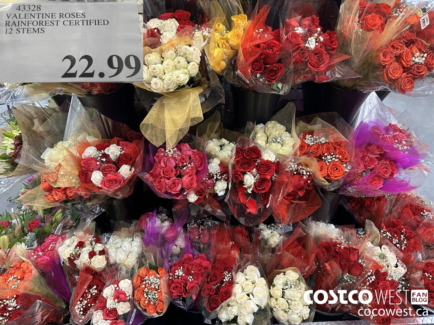 43328 VALENTINE ROSES RAINFOREST CERTIFIED 12 STEMS $22.99