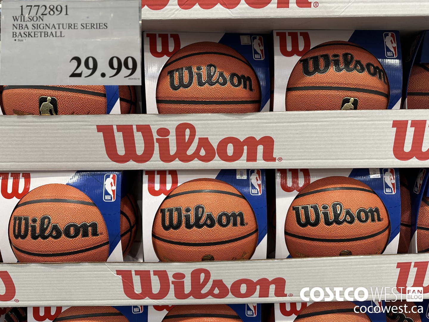 1772891 WILSON NBA SIGNATURE SERIES BASKETBALL $29.99