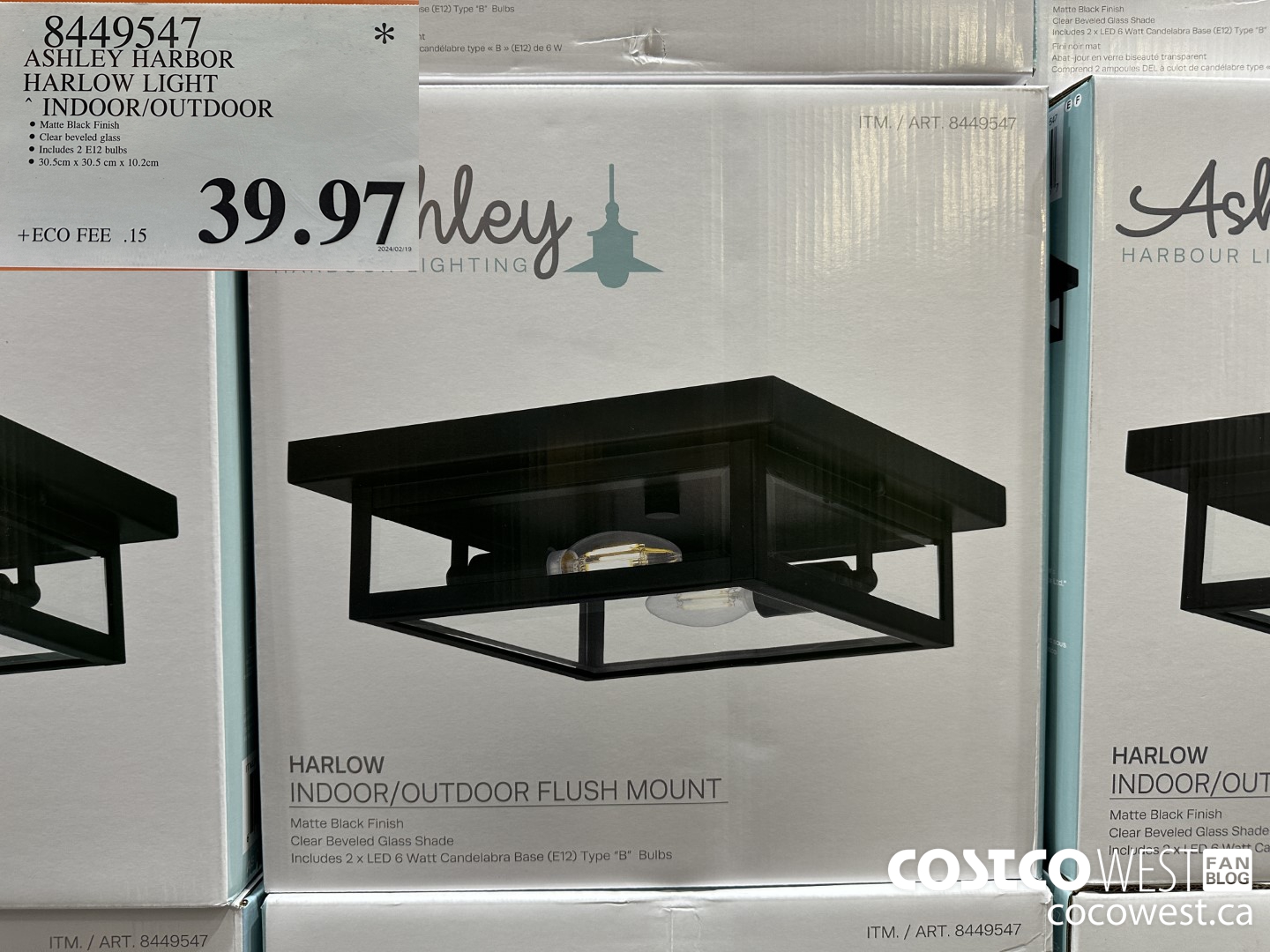 8449547 ASHLEY HARBOR HARLOW INDOOR/OUTDOOR $39.97