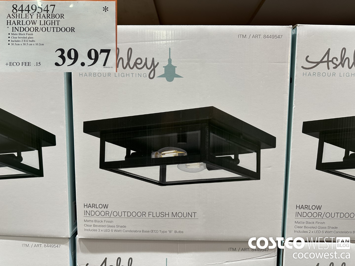 8449547 ASHLEY HARBOR HARLOW INDOOR/OUTDOOR $39.97