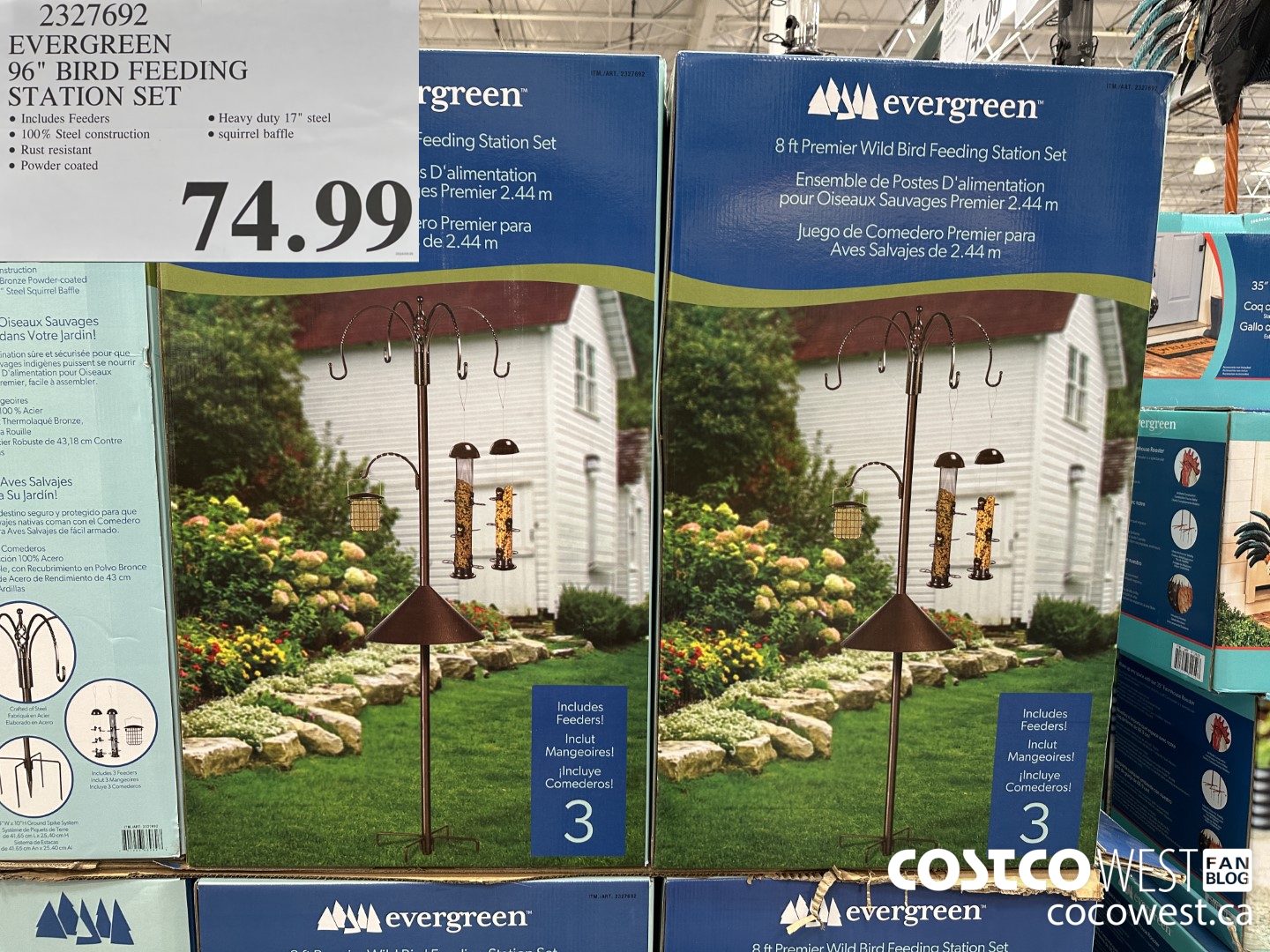 2327692 EVERGREEN 96