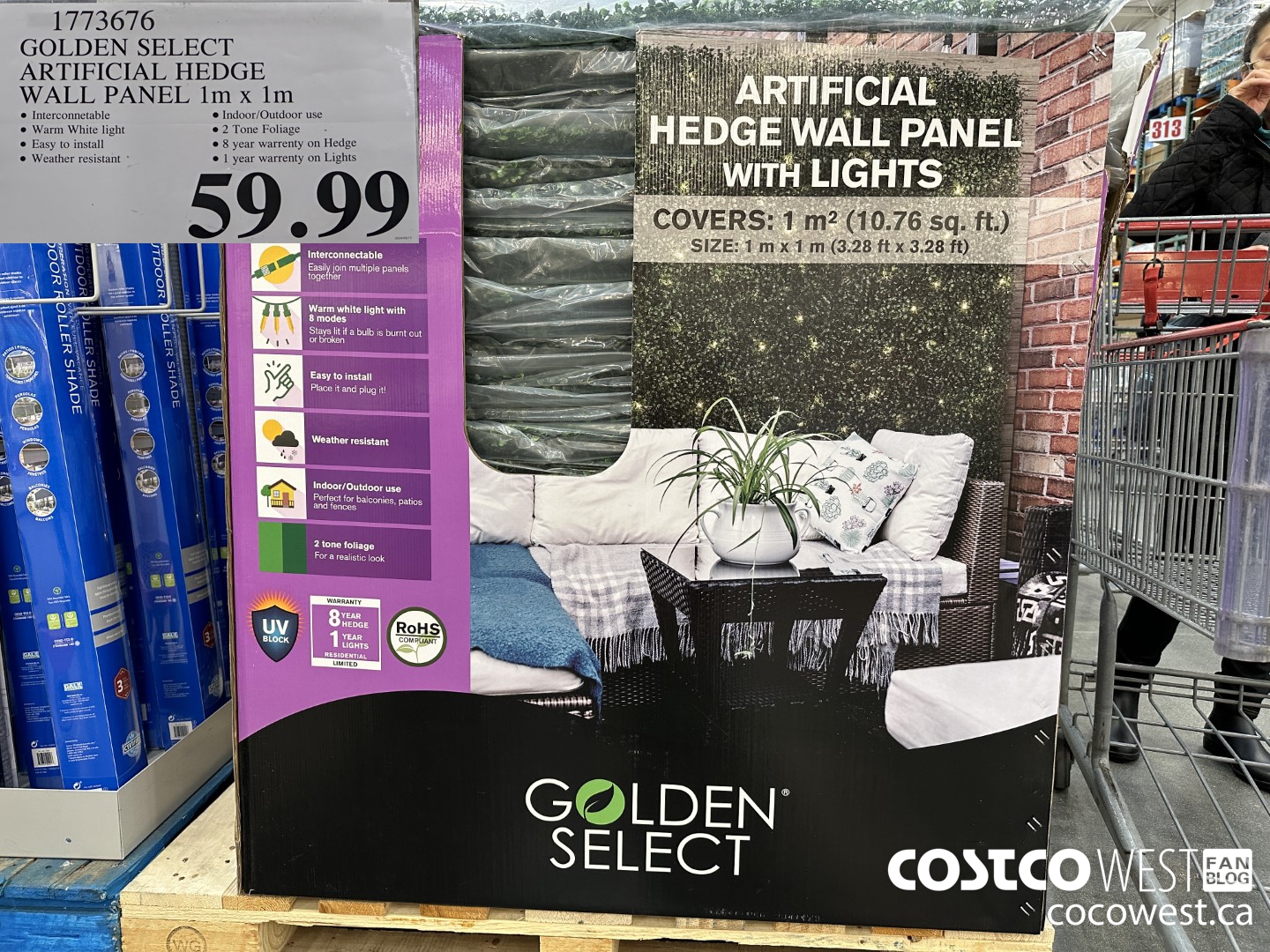 1773676 GOLDEN SELECT ARTIFICIAL HEDGE WALL PANEL 1M X 1M $59.99