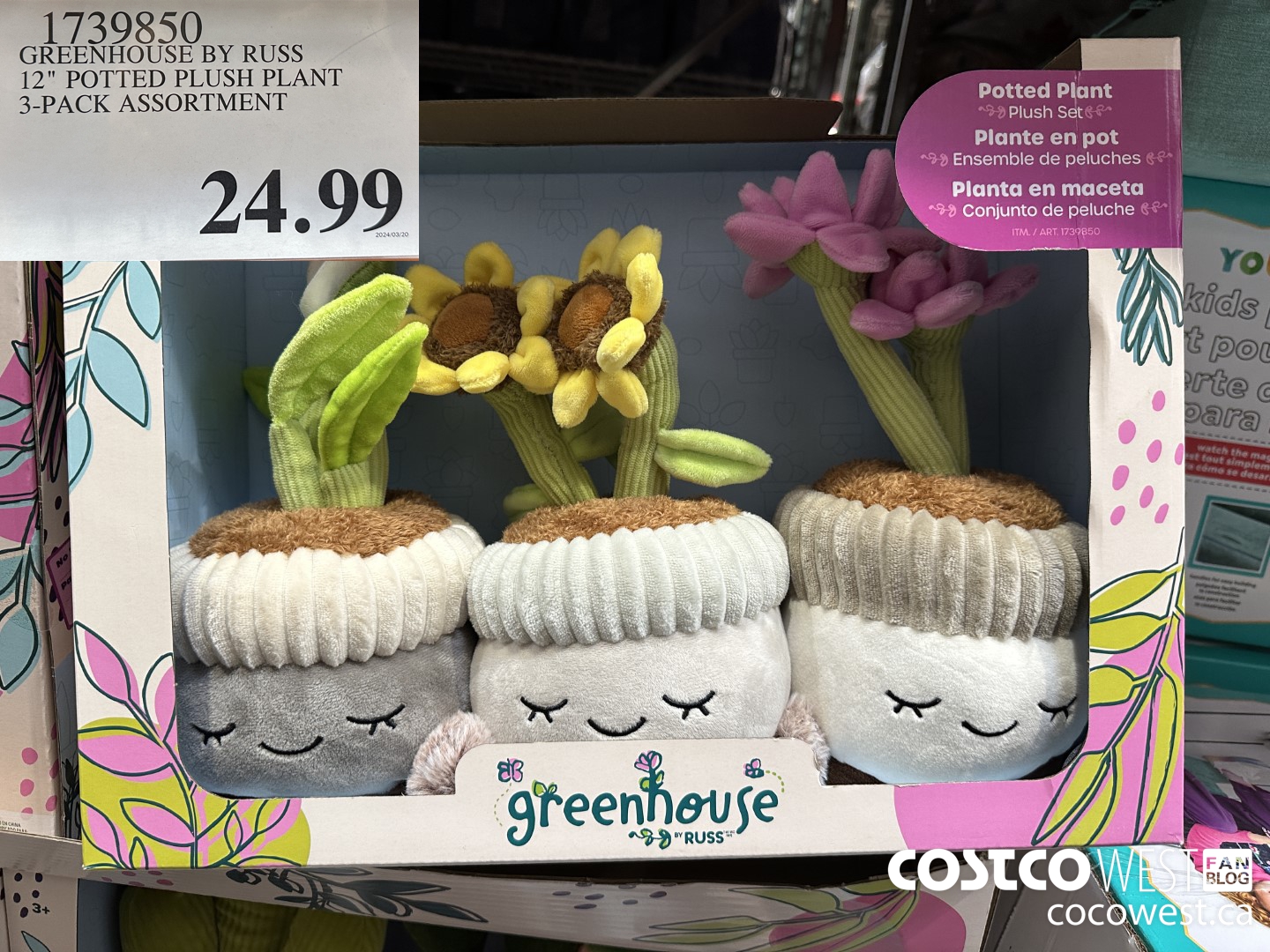 1739850 GREENHOUSE BY RUSS 12