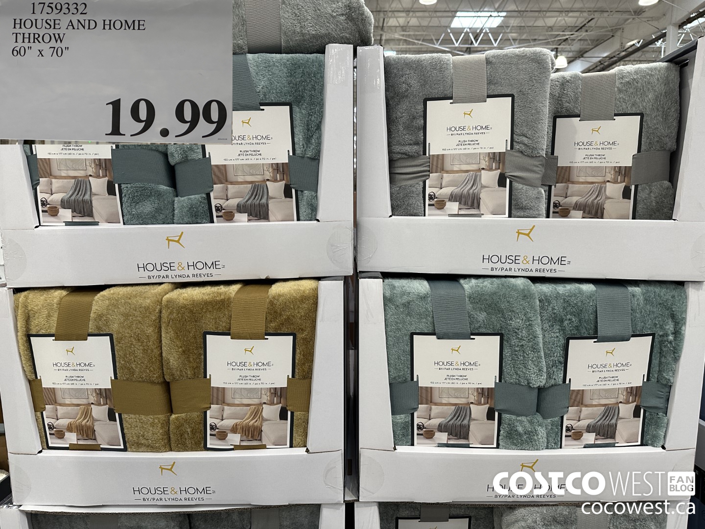 1759332 HOUSE AND HOME THROW 60