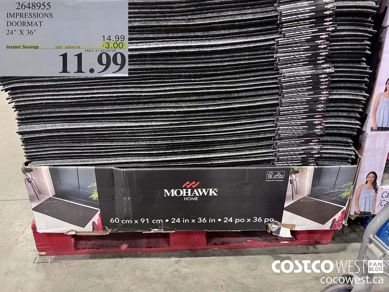 2648955 IMPRESSIONS DOORMAT 24