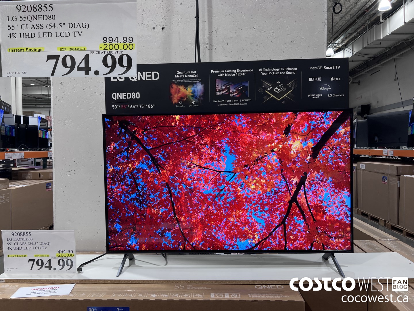 9208855 LG 55QNED80 55