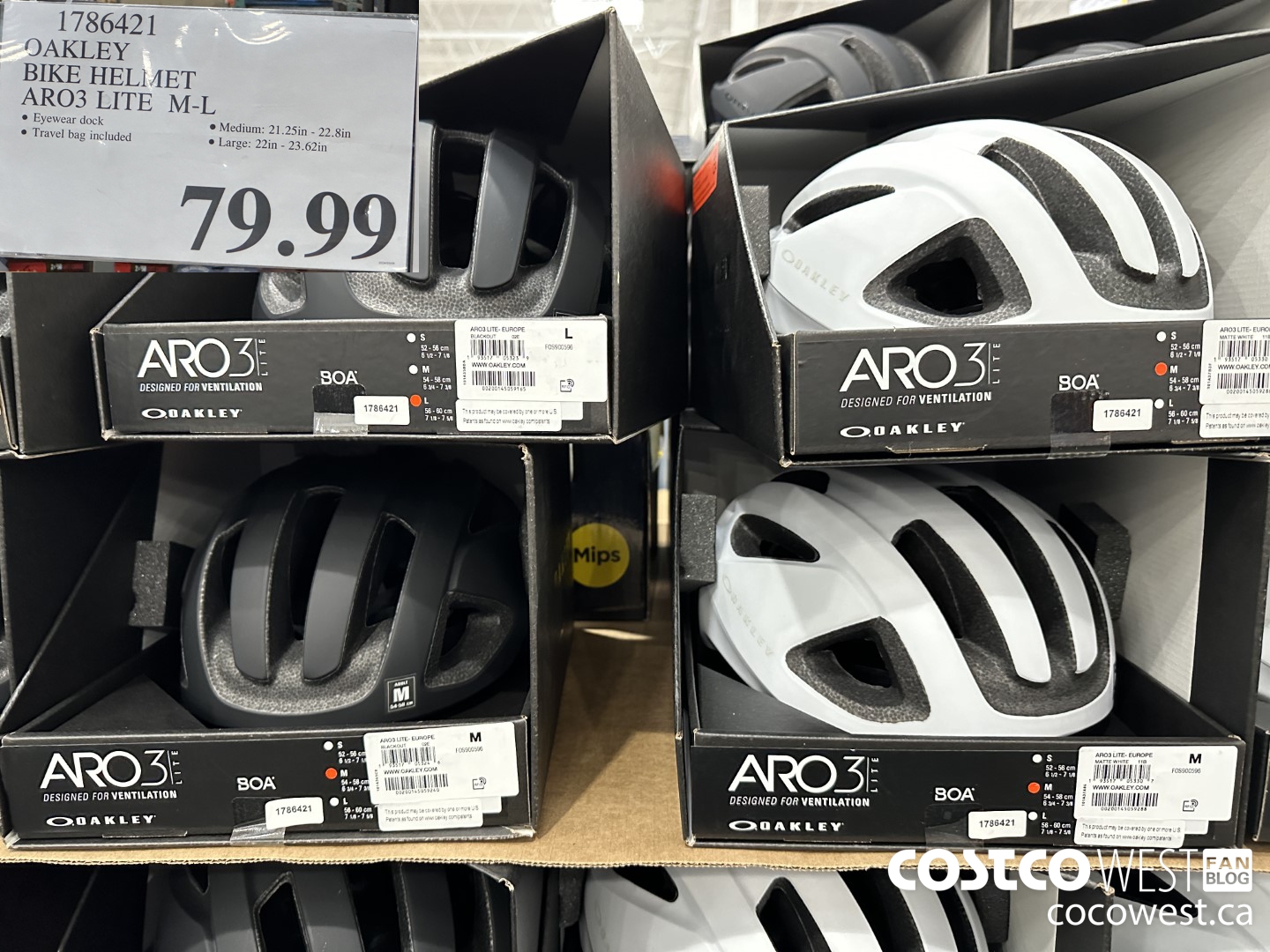 1786421 OAKLEY BIKE HELMET ARO3 LITE M-L $79.99