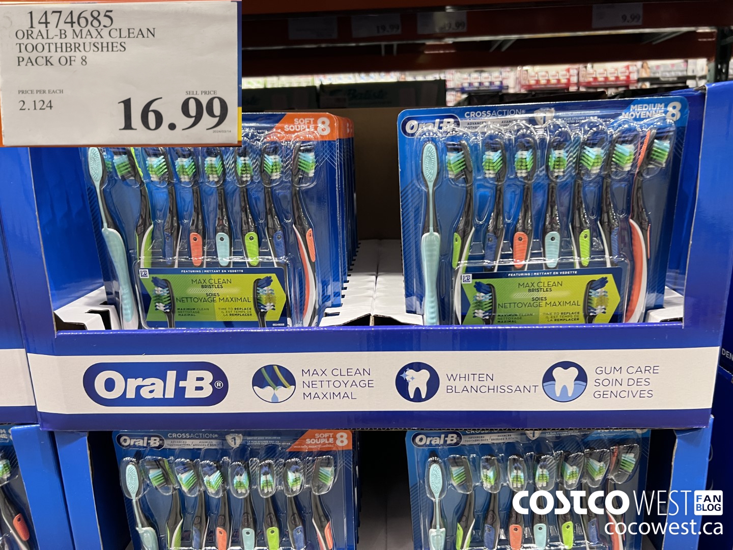 1474685 ORAL-B MAX CLEAN TOOTHBRUSHES PACK OF 8 $16.99