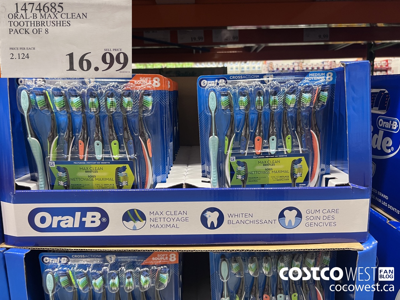 1474685 ORAL-B MAX CLEAN TOOTHBRUSHES PACK OF 8 $16.99