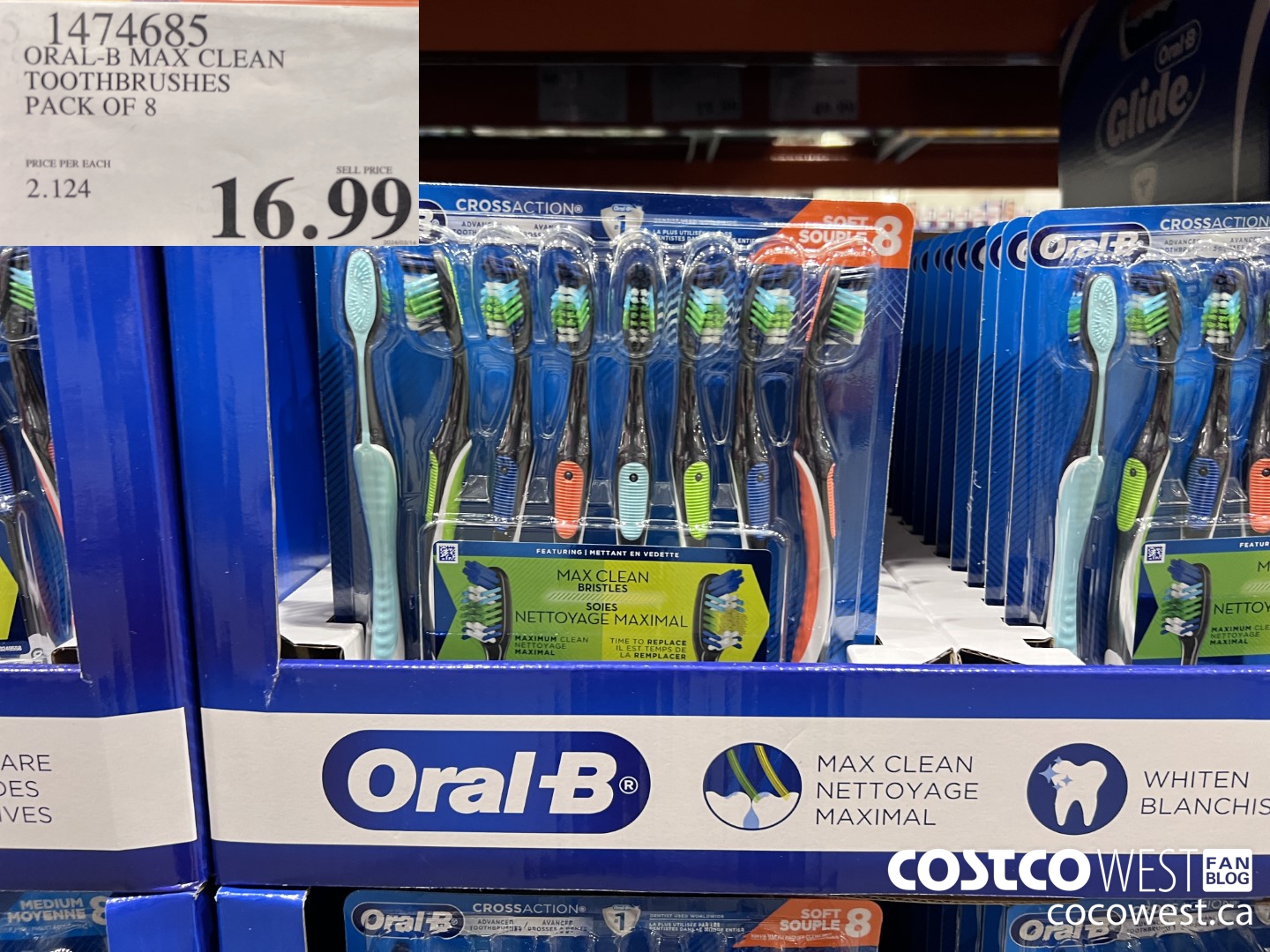 1474685 ORAL-B MAX CLEAN TOOTHBRUSHES PACK OF 8 $16.99