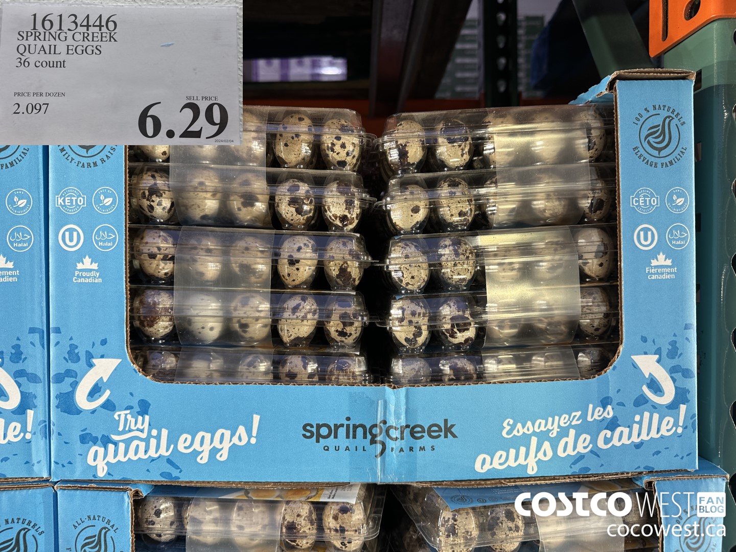 1613446 SPRING CREEK QUAIL EGGS 36 COUNT $6.29