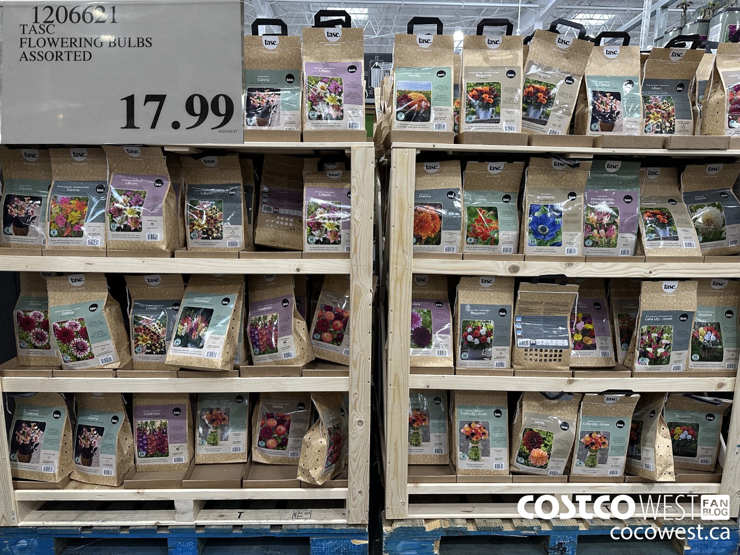 1206621 TASC FLOWERING BULBS ASSORTED $17.99