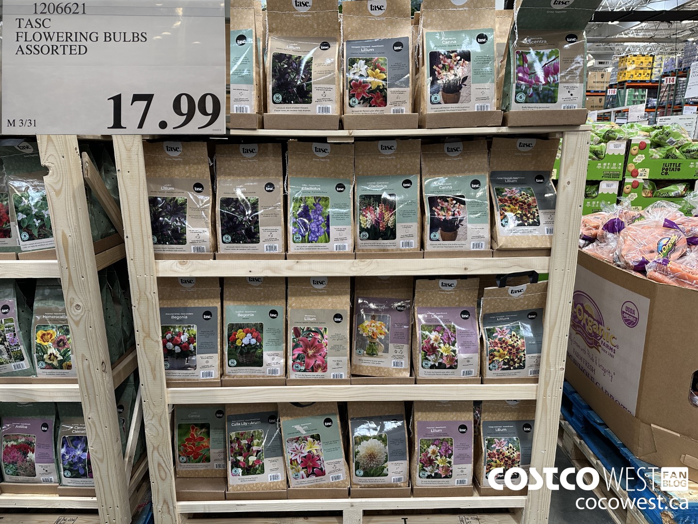 1206621 TASC FLOWERING BULBS ASSORTED $17.99