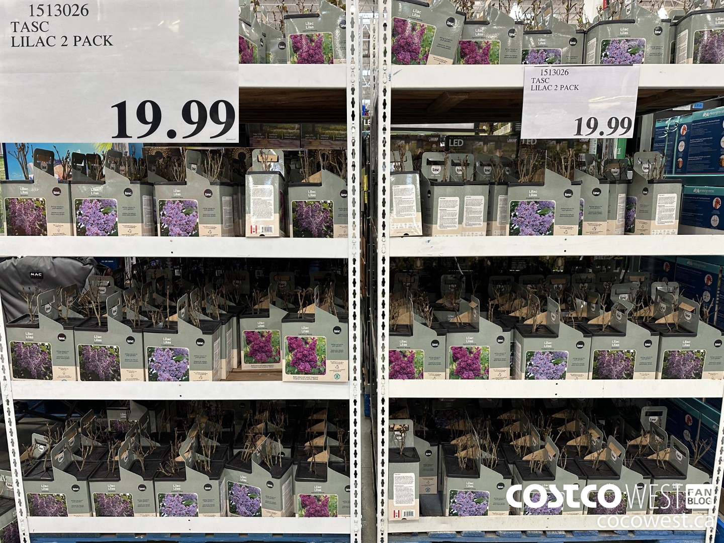 1513026 TASC LILAC 2 PACK $19.99