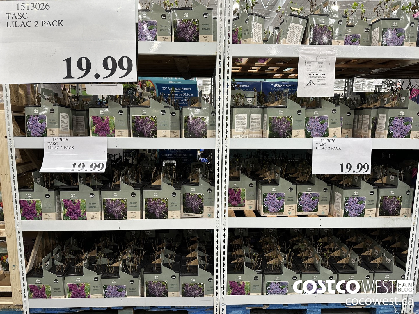 1513026 TASC LILAC 2 PACK $19.99