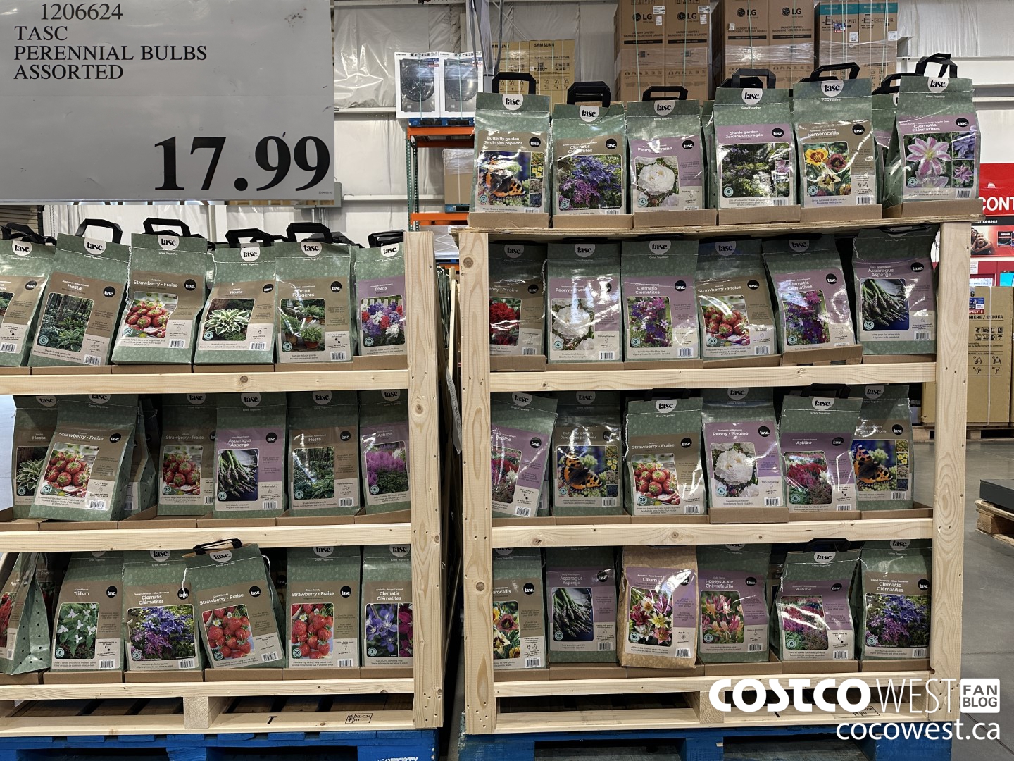 1206624 TASC PERENNIAL BULBS ASSORTED $17.99