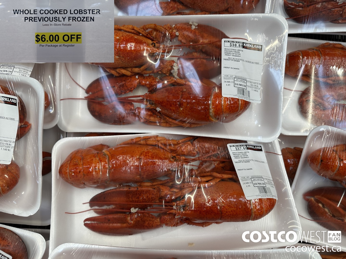 42448 WHOLE COOKED LOBSTER PREVIOUSLY FROZEN ($6.00 INSTANT SAVINGS)