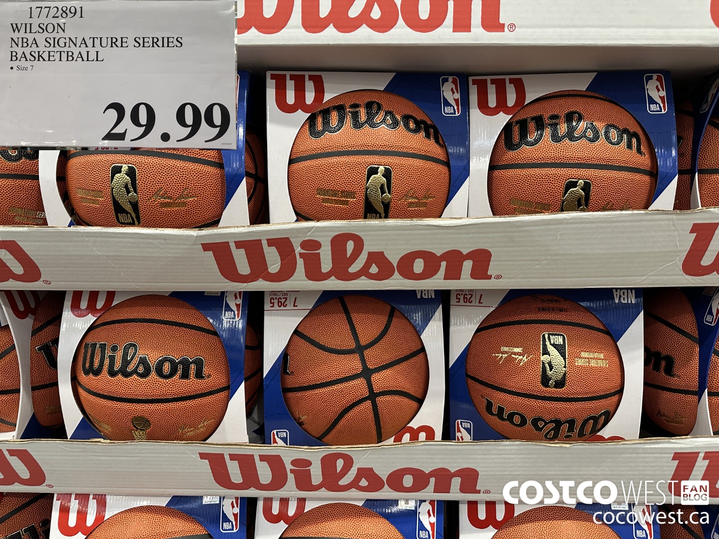 1772891 WILSON NBA SIGNATURE SERIES BASKETBALL $29.99