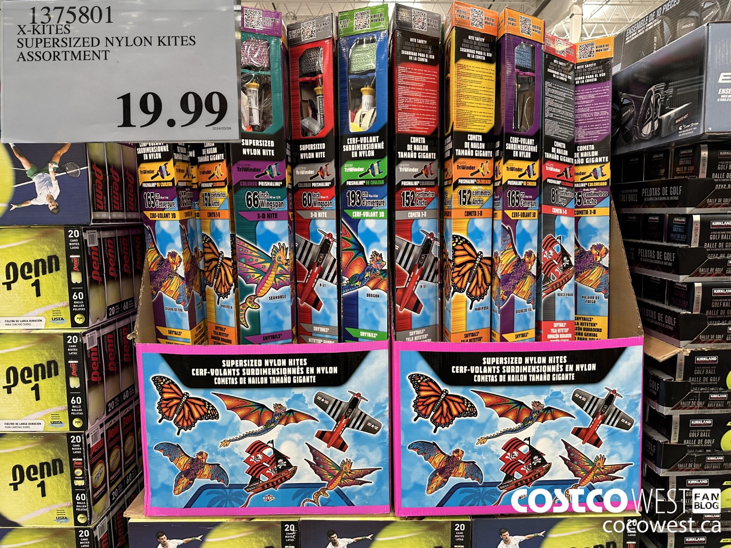 1375801 X-KITES SUPERSIZED NYLON KITES ASSORTMENT $19.99