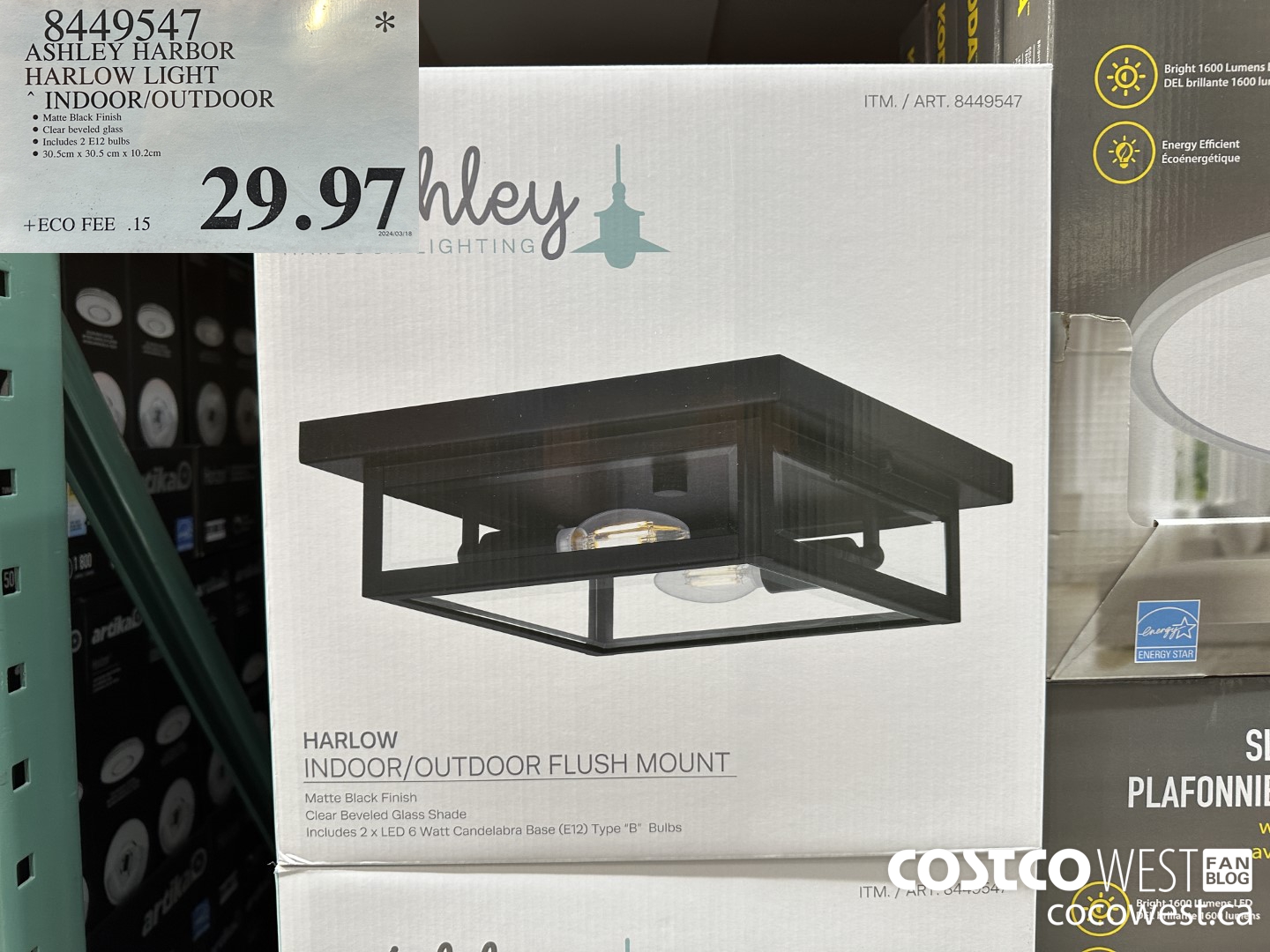 8449547 ASHLEY HARBOR HARLOW INDOOR/OUTDOOR $29.97