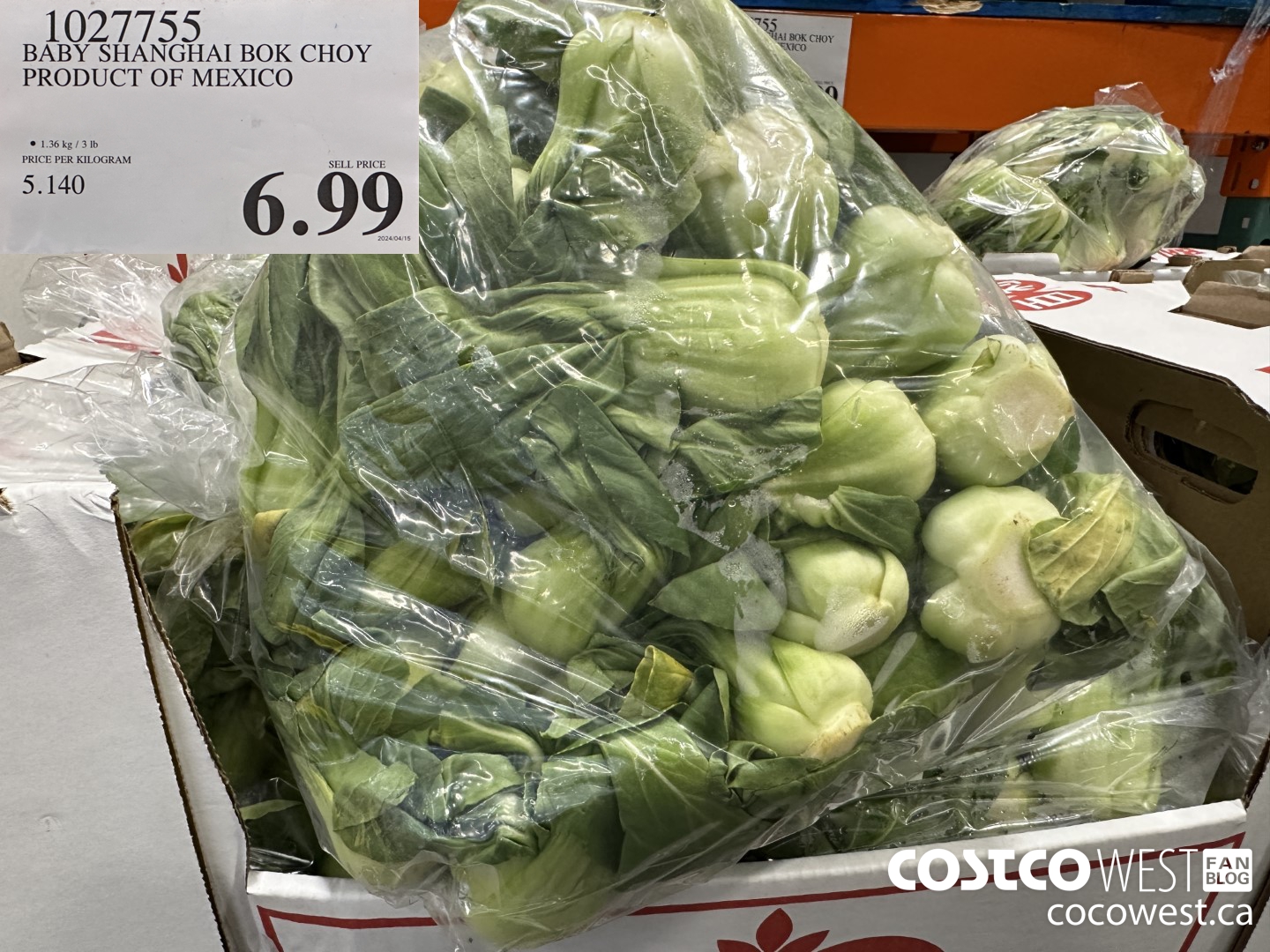 1027755 BABY SHANGHAT BOK CHOY PRODUCT OF MEXICO $6.99