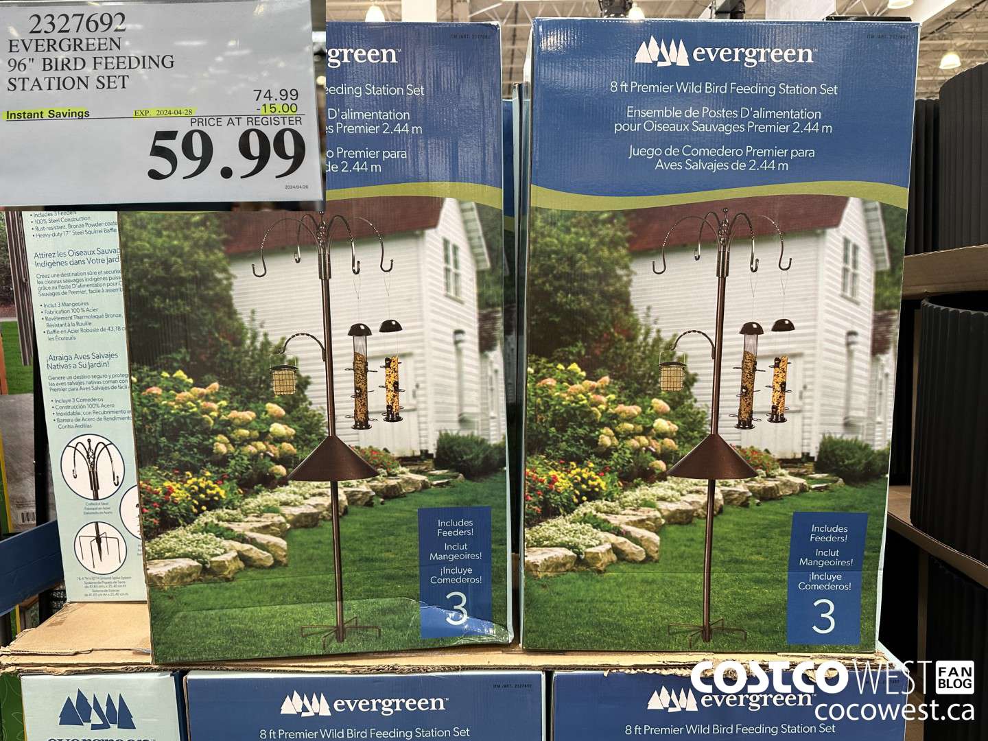 2327692 EVERGREEN 96