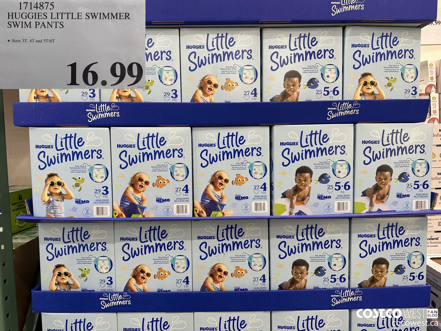 1714875 HUGGIES LITTLE SWIMMER SWIM PANTS $16.99