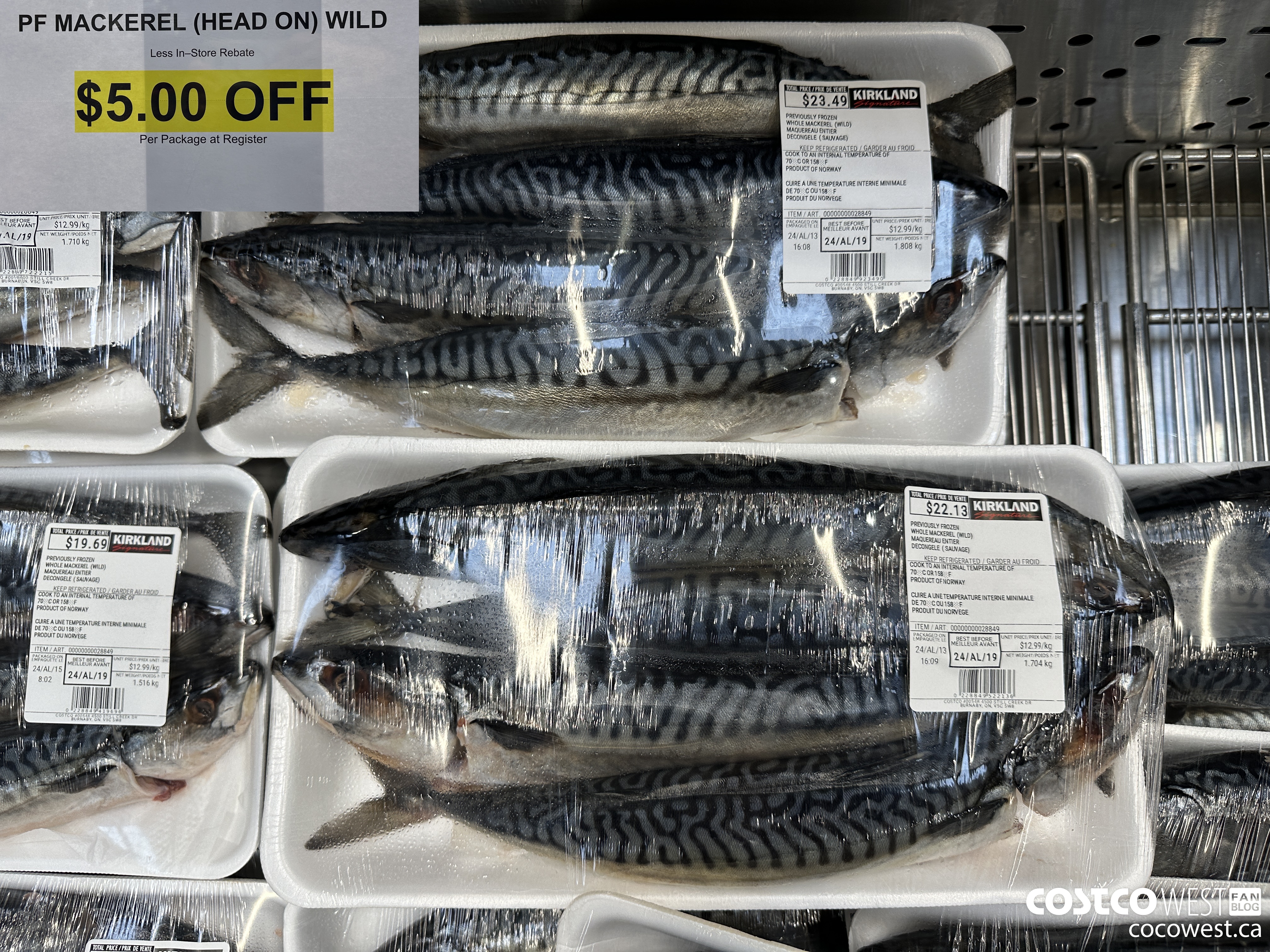 28849 PF MACKEREL (HEAD ON) WILD ($5.00 INSTANT SAVINGS)
